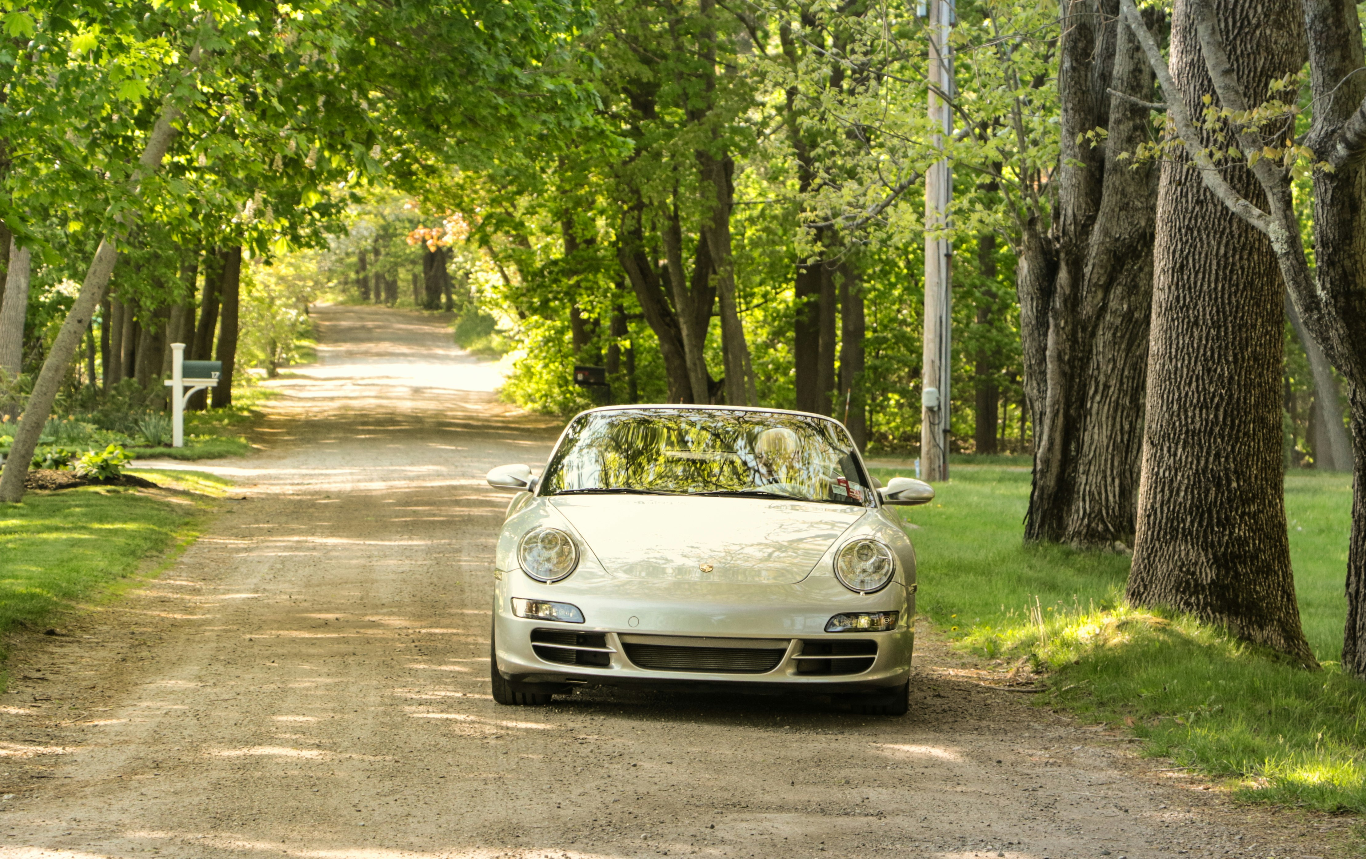 white vehicle traveling on road near forest